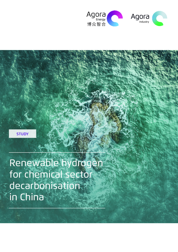 可再生氢用于中国化工行业脱碳