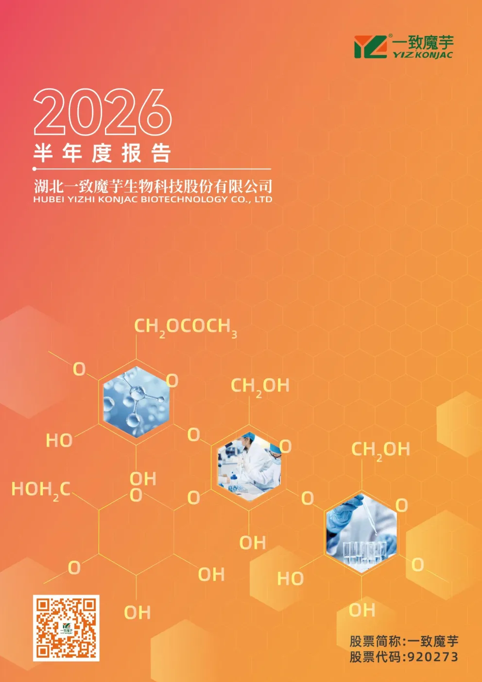 一致魔芋：2026年半年度报告