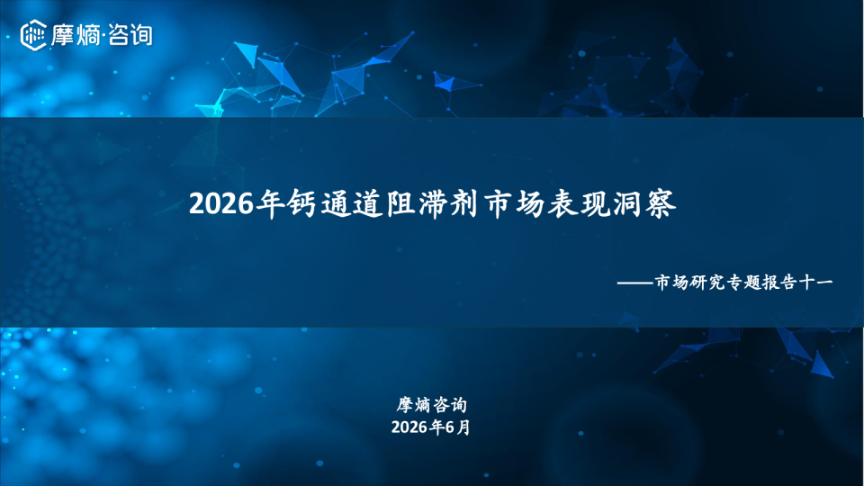 2026年钙通道阻滞剂市场表现洞察