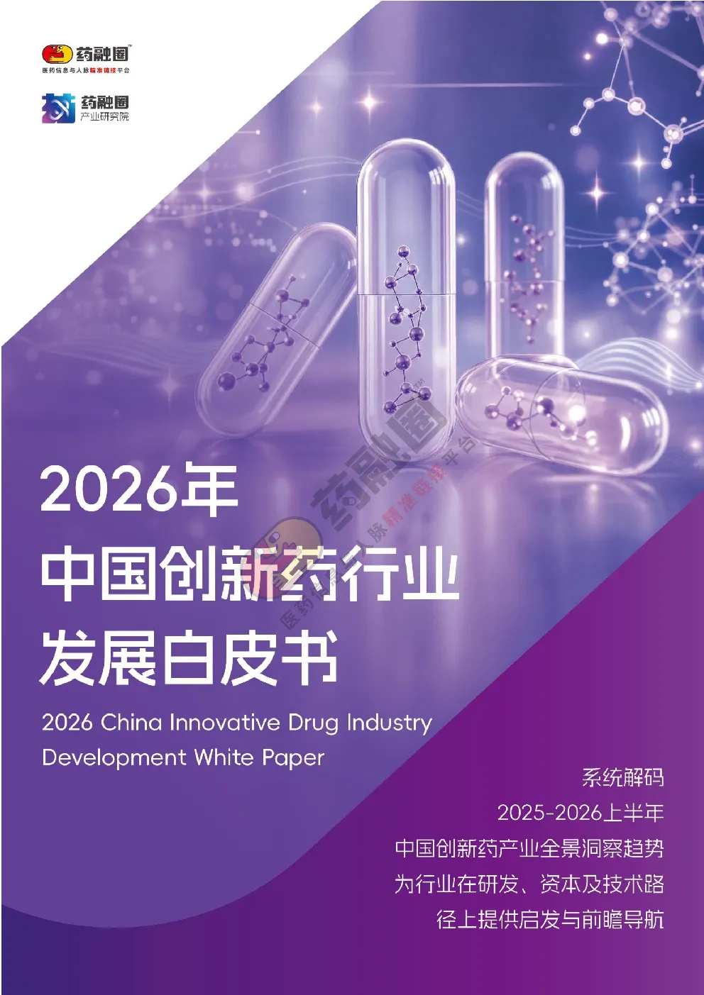 2025-2026.6中国创新药全景洞察