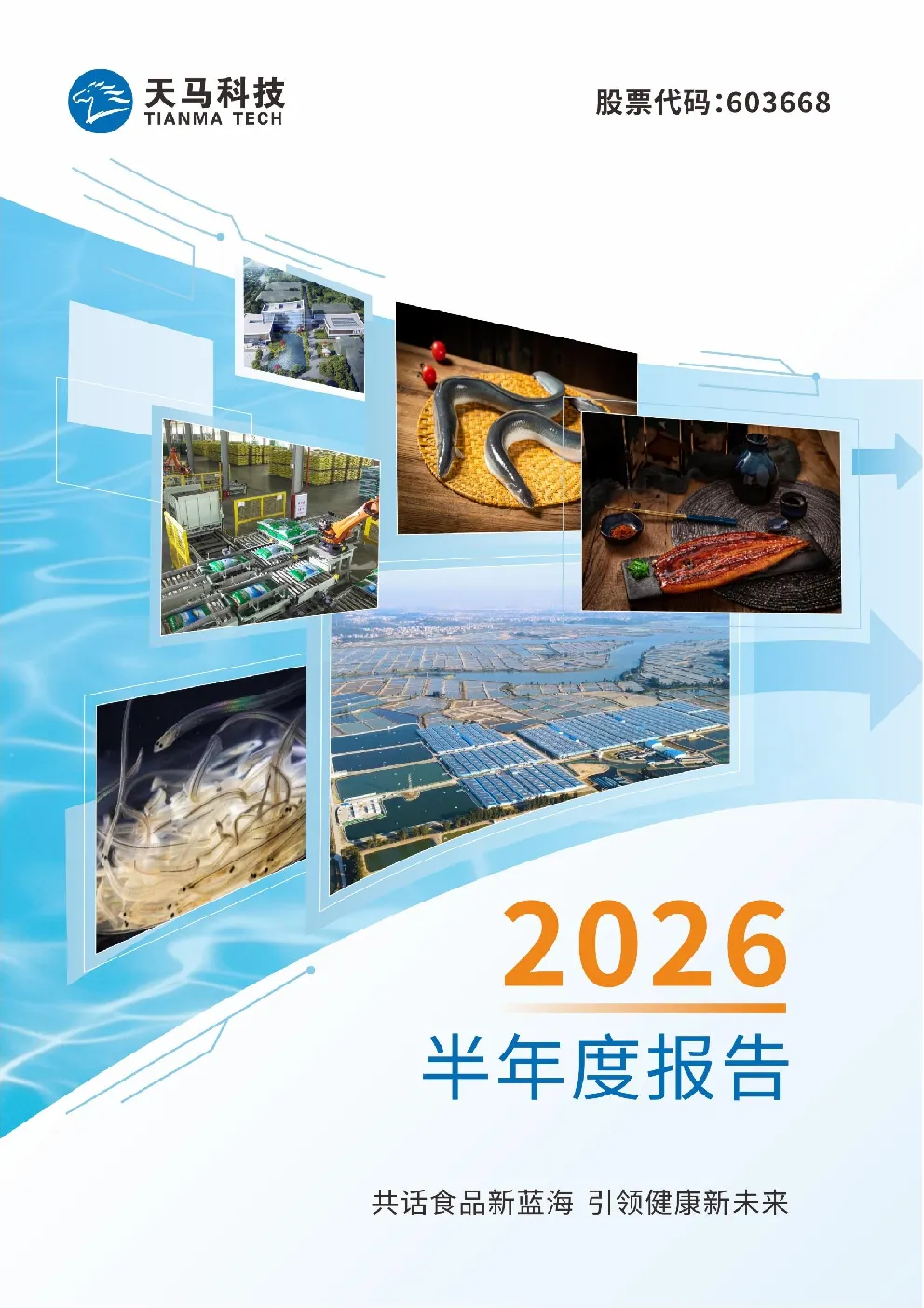 天马科技：2026年半年度报告
