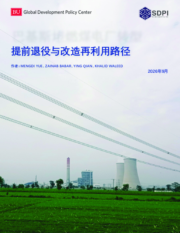 巴基斯坦燃煤电厂转型：提前退役与改造再利用路径