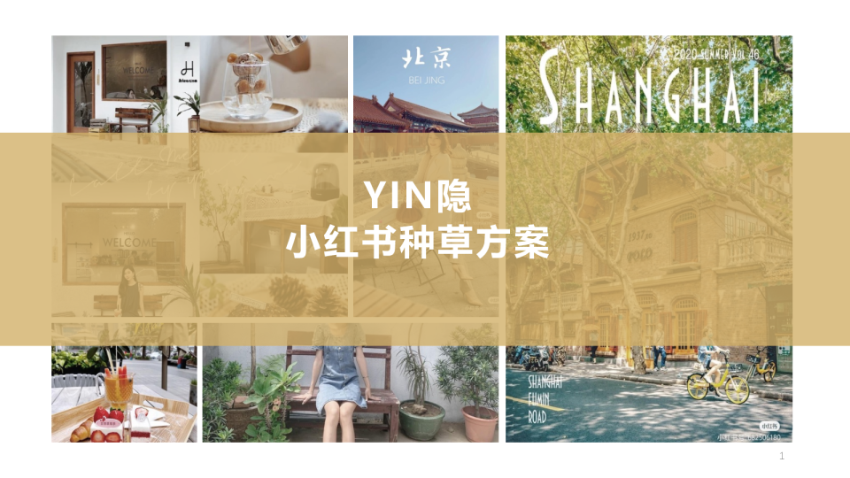 珠宝首饰品牌小红书种草方案【种草营销】【小红书运营】