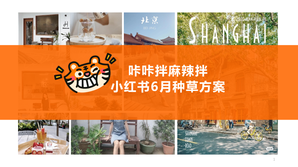 速食品牌小红书种草方案【种草营销】【小红书运营】