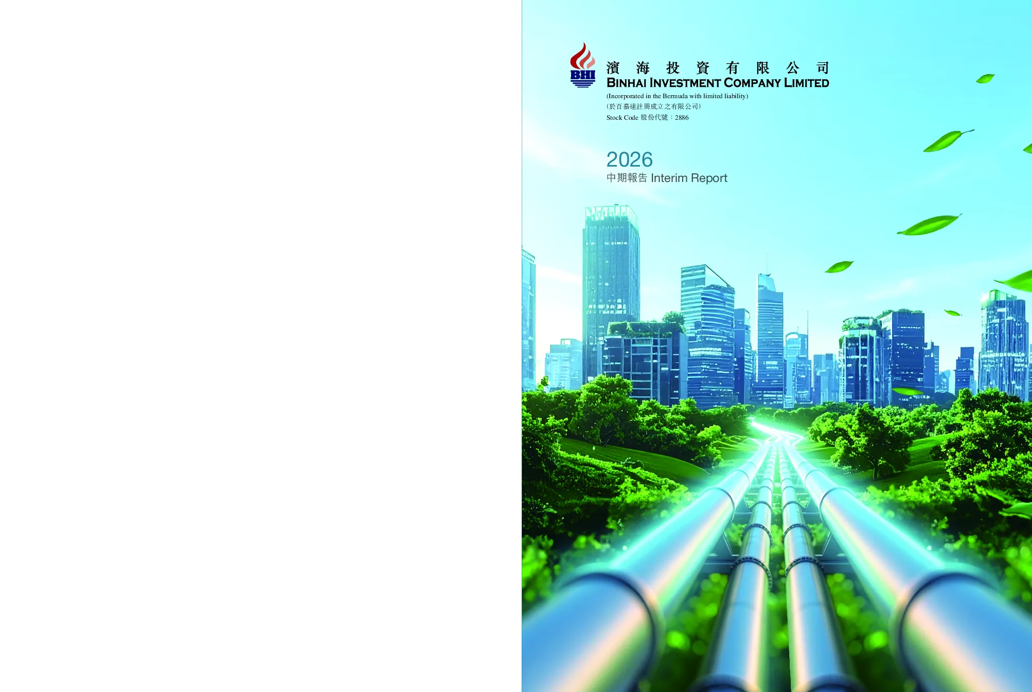 滨海投资中期报告 2026