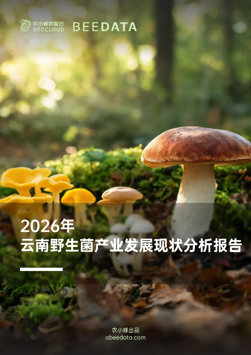 2026年云南野生菌产业发展现状分析报告