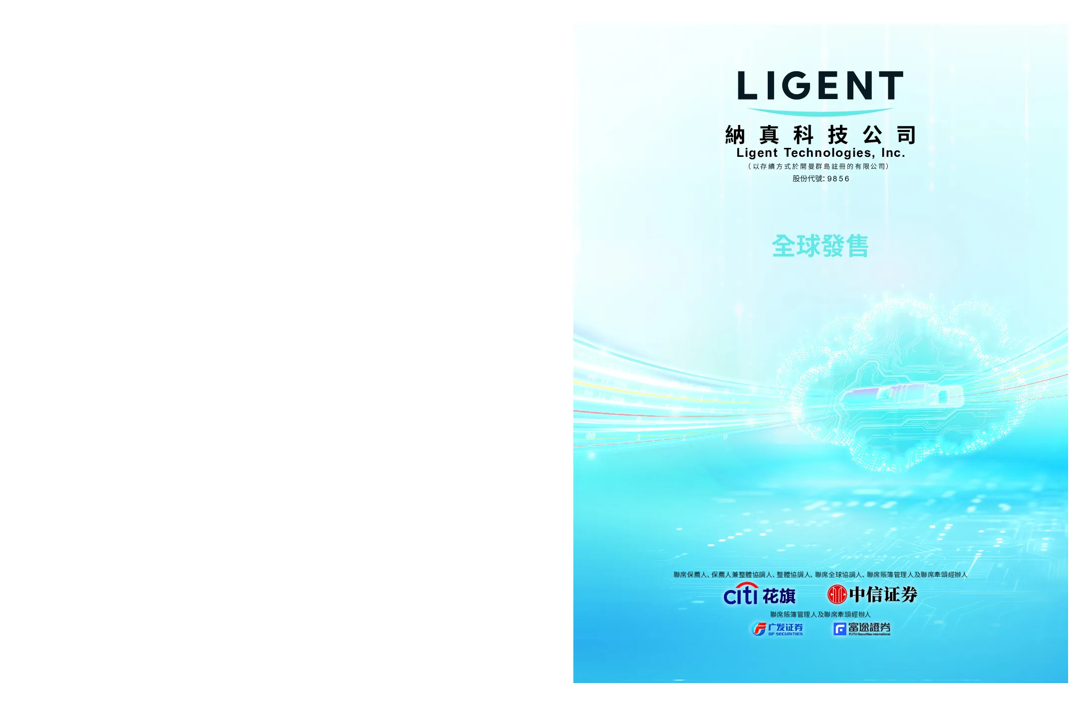 纳真科技招股说明书