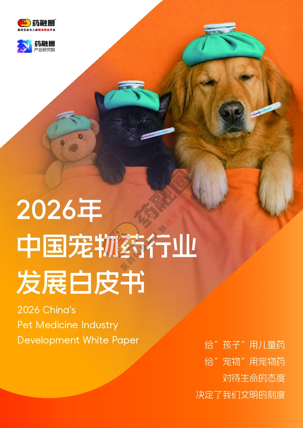 2026年中国宠物药行业发展白皮书