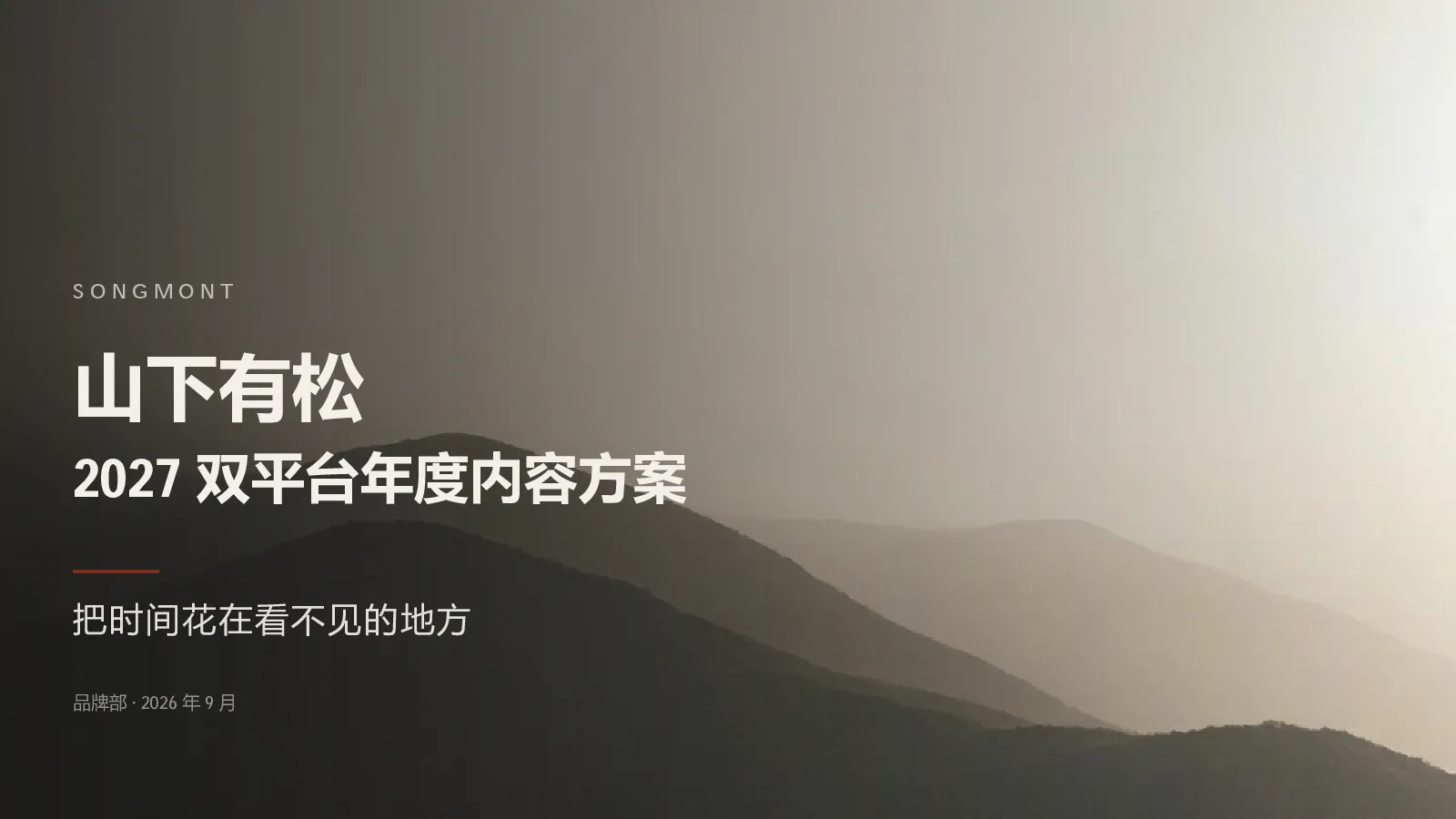 箱包品牌2027双平台年度营销方案【社媒运营】【种草营销】