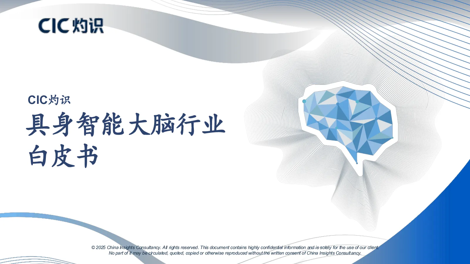 具身智能大脑行业白皮书