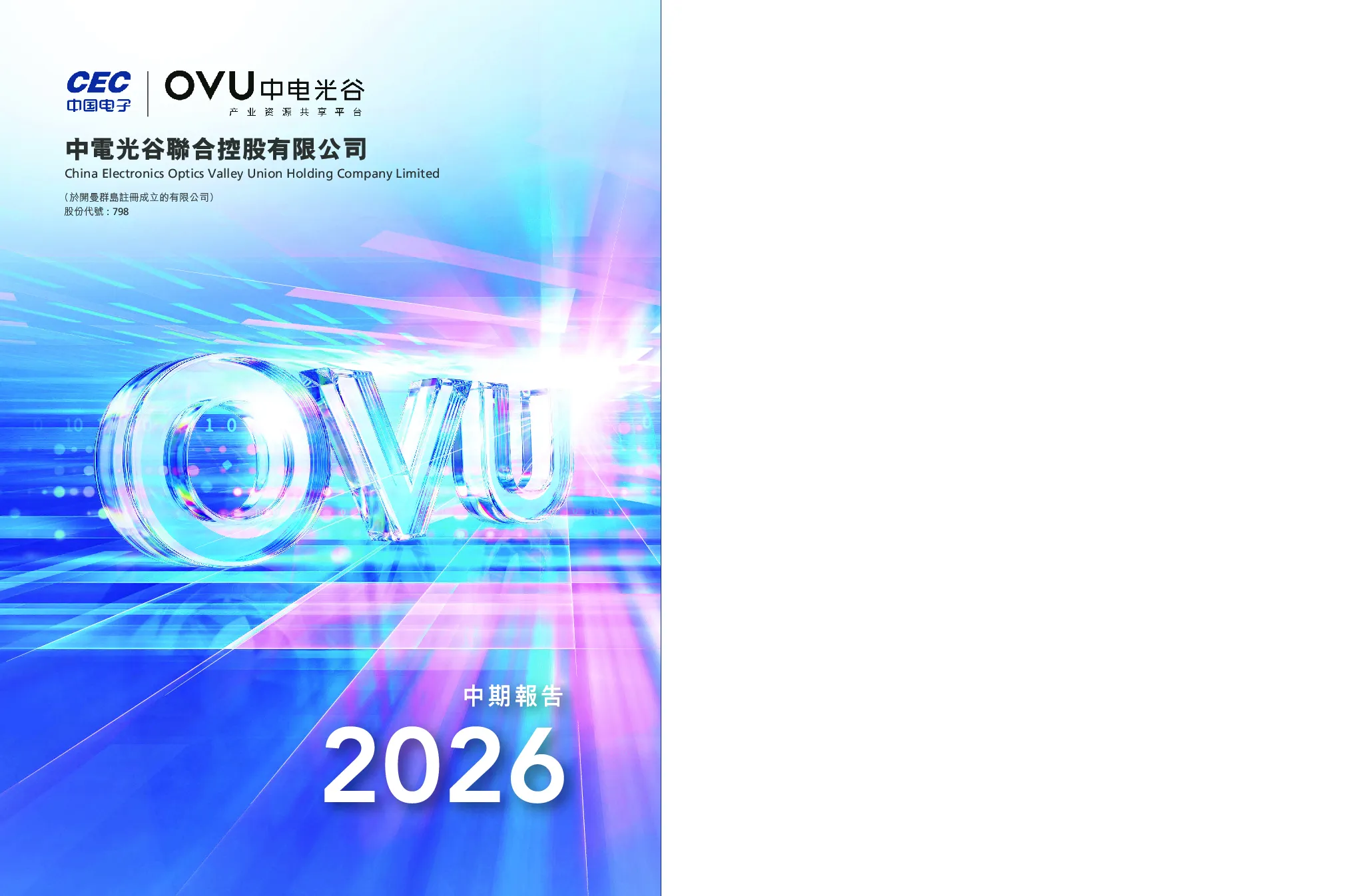中电光谷中期报告2026