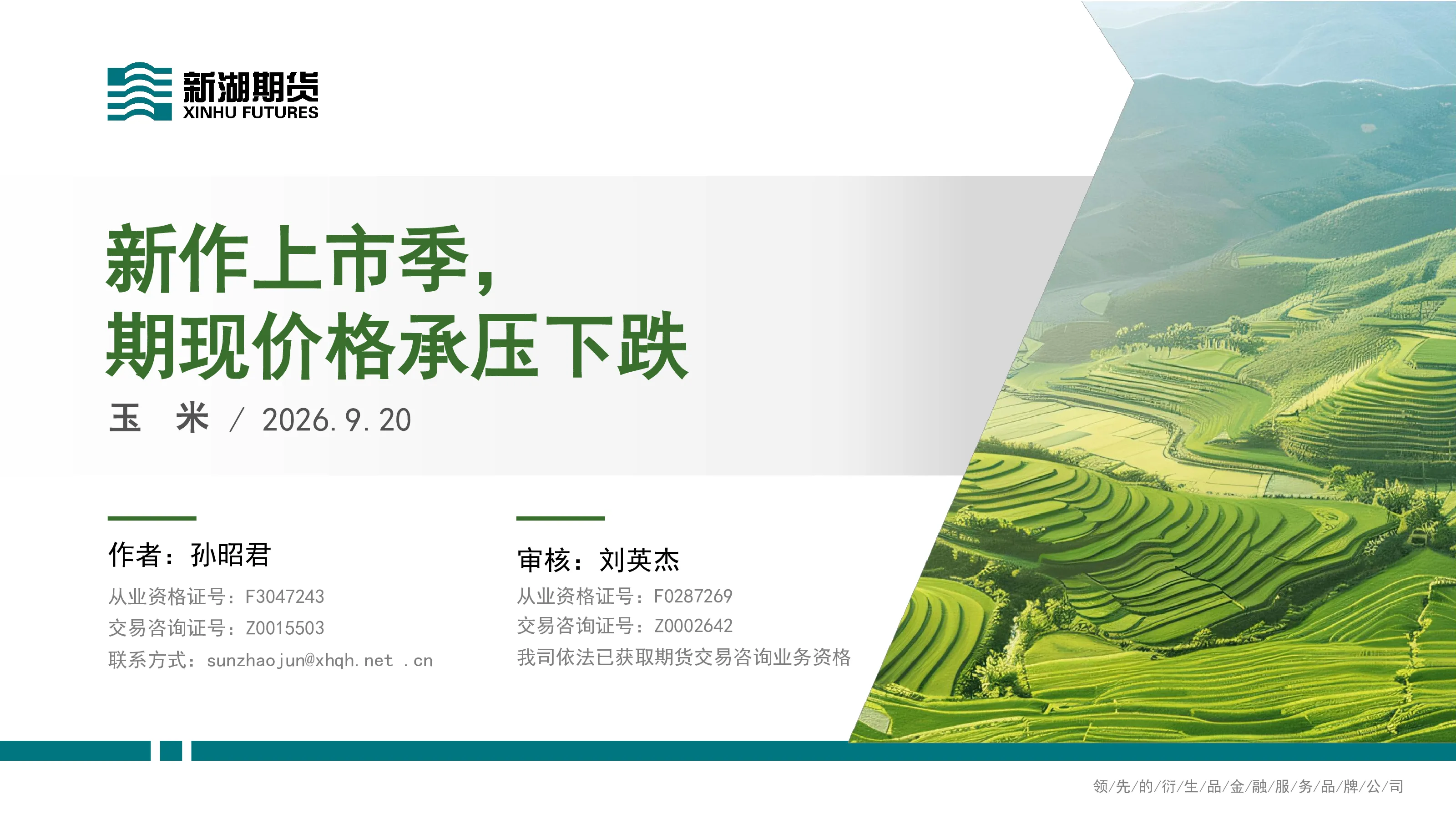 玉米：新作上市季，期现价格承压下跌