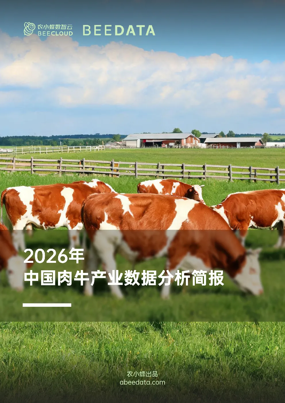 2026年中国肉牛产业数据分析简报