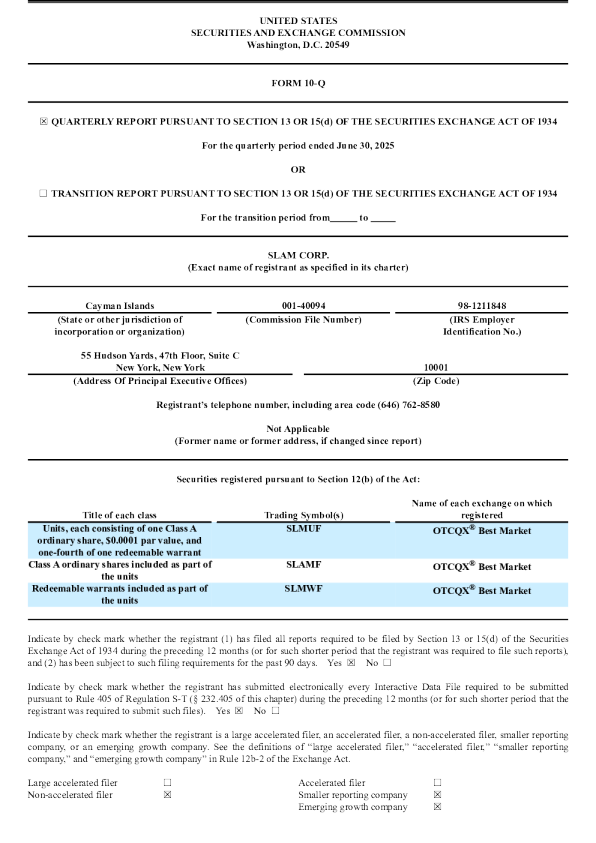 
斯兰姆公司2026年季度报告