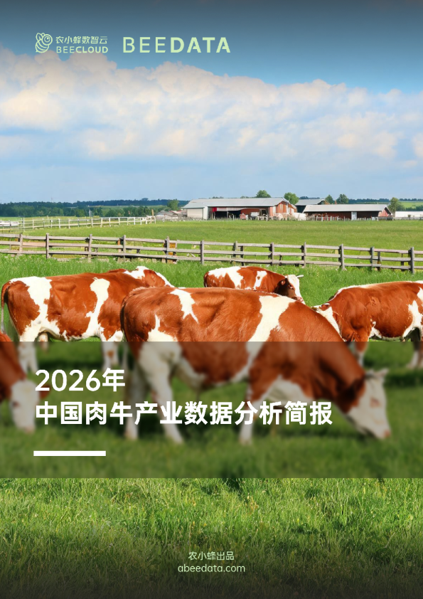 2026年中国肉牛产业数据分析简报