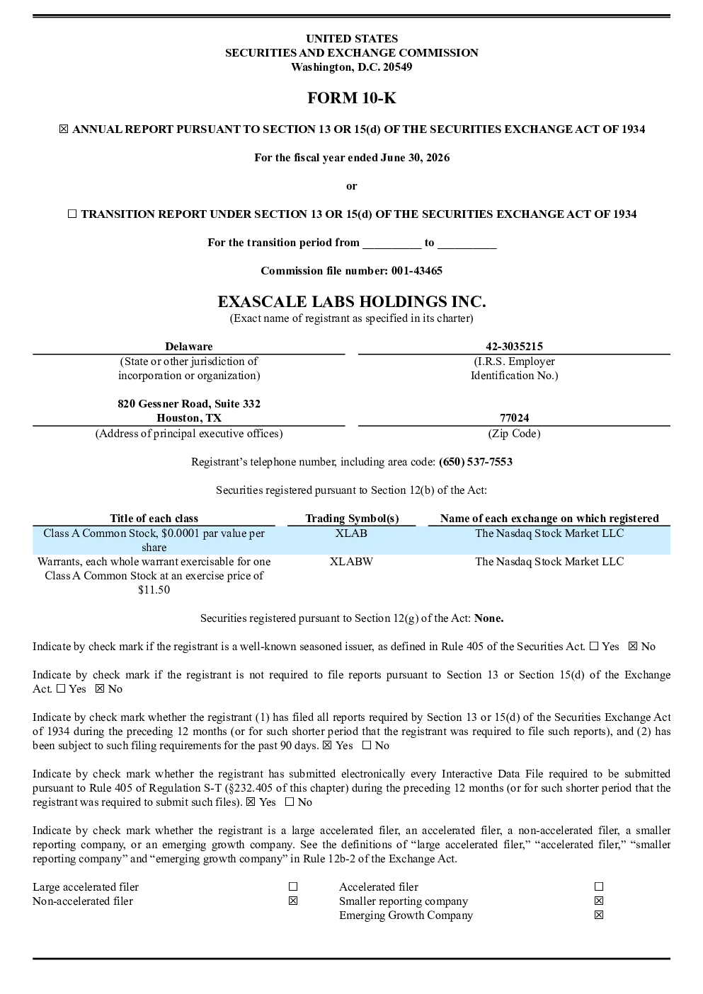 Exascale Labs Holdings Inc-A 2025年度报告
