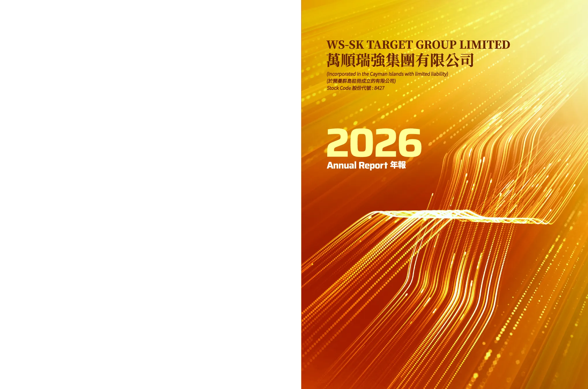 万顺瑞强集团2026 年报