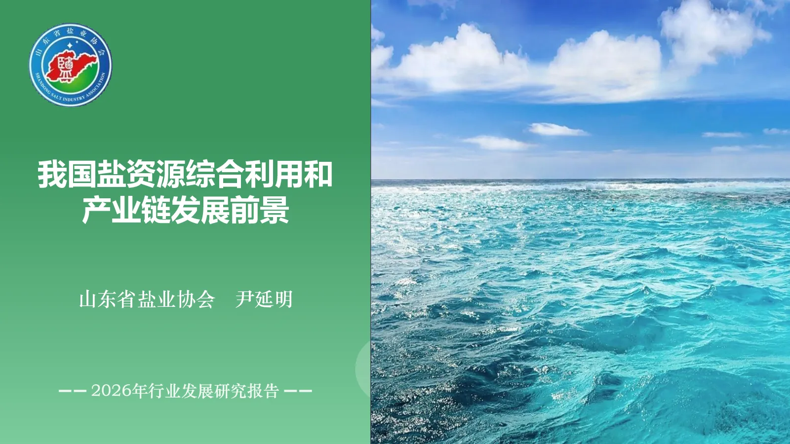 盐我国盐资源综合利用和产业链发展前景