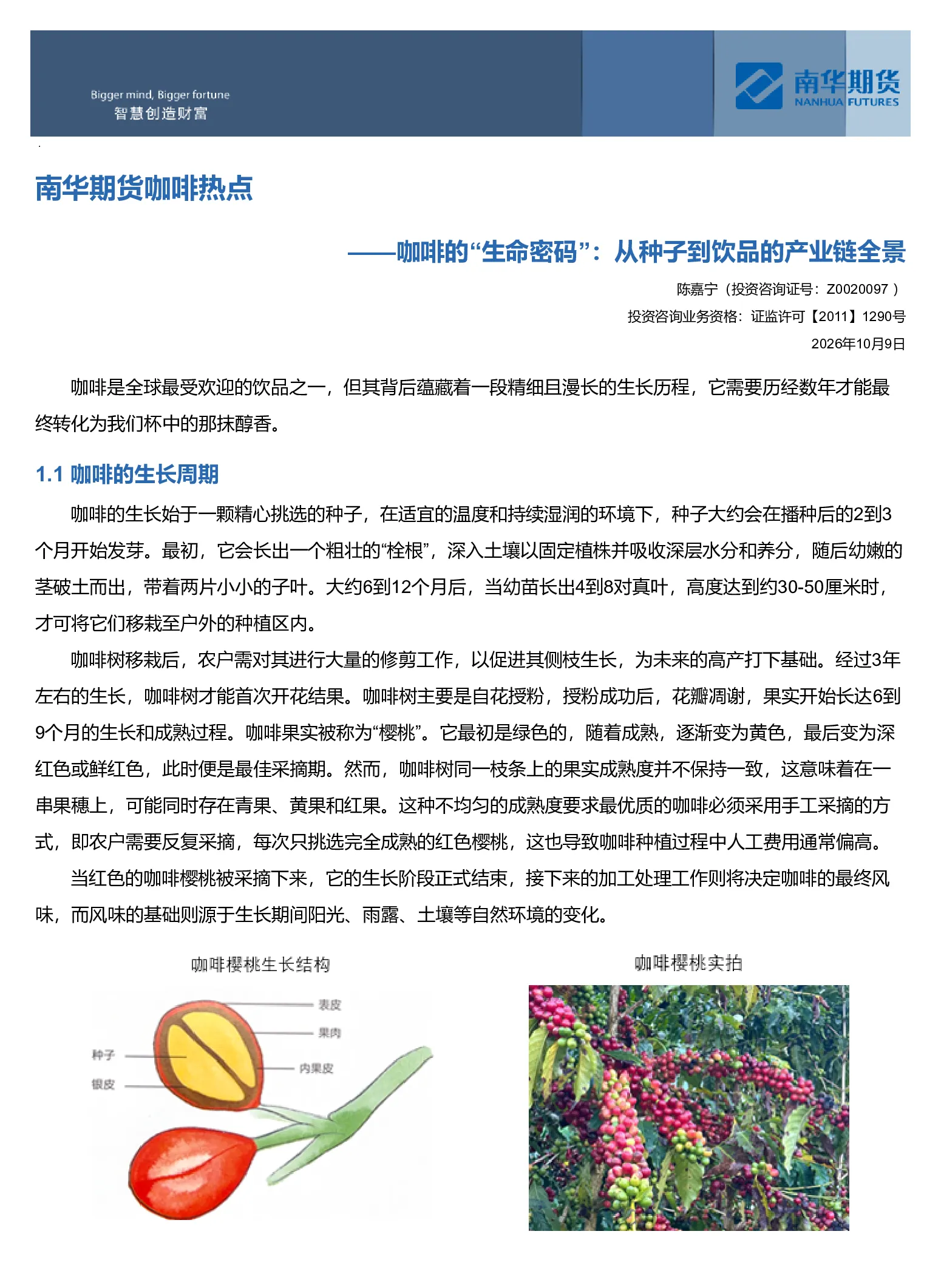 咖啡热点：咖啡的“生命密码”：从种子到饮品的产业链全景