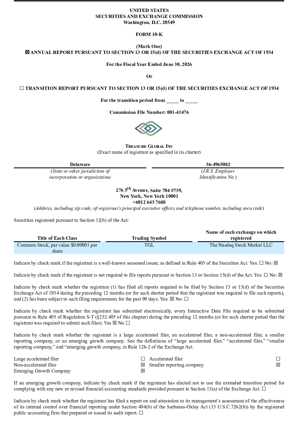 Treasure Global Inc 2025年度报告
