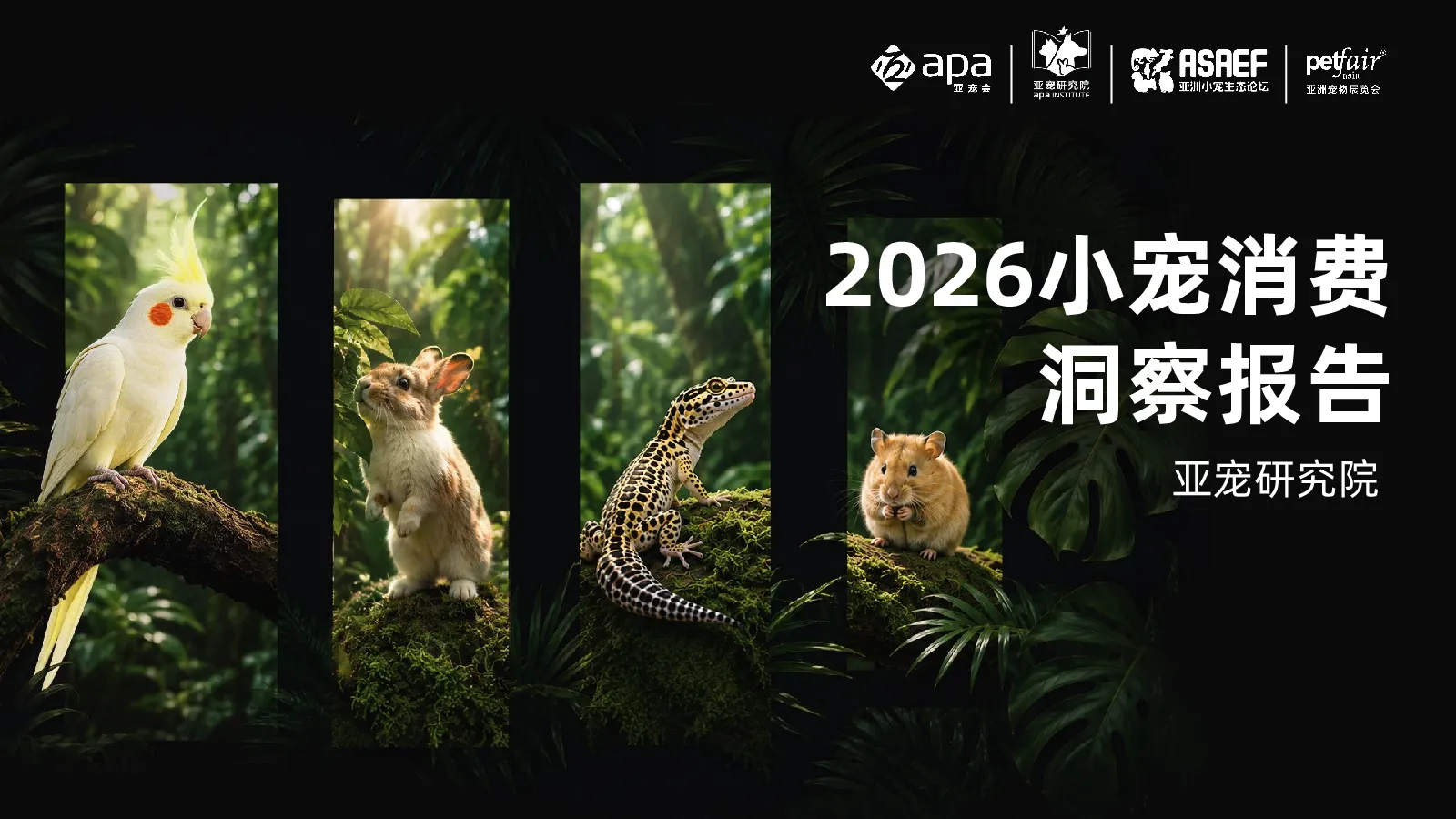 2026年小宠消费洞察报告