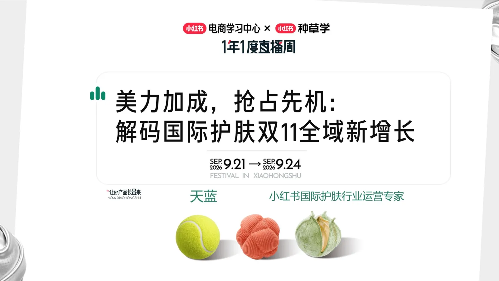 小红书双11国际护肤全域增长指南【大促营销】【小红书电商】