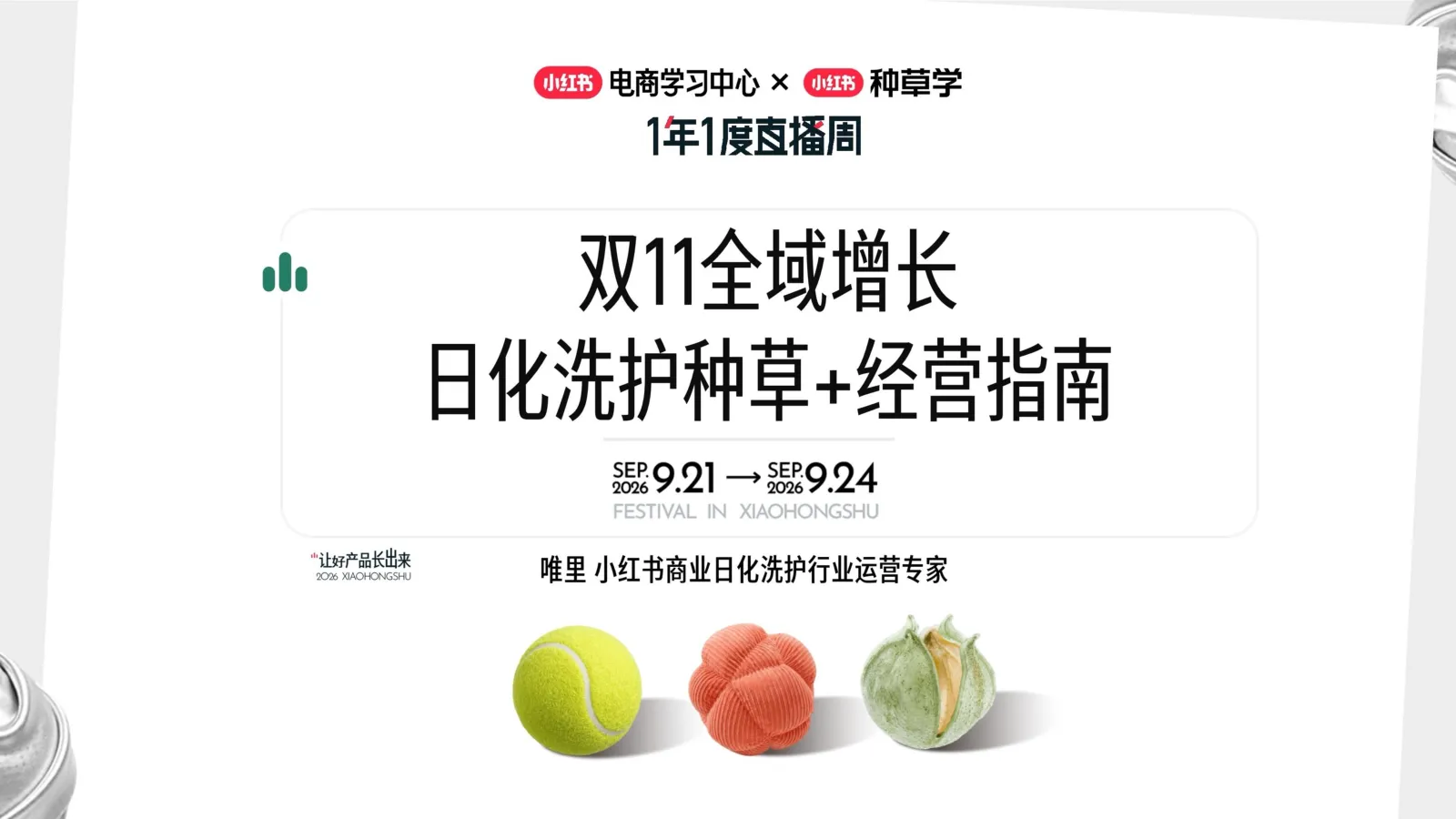 小红书双11日化洗护全域增长指南