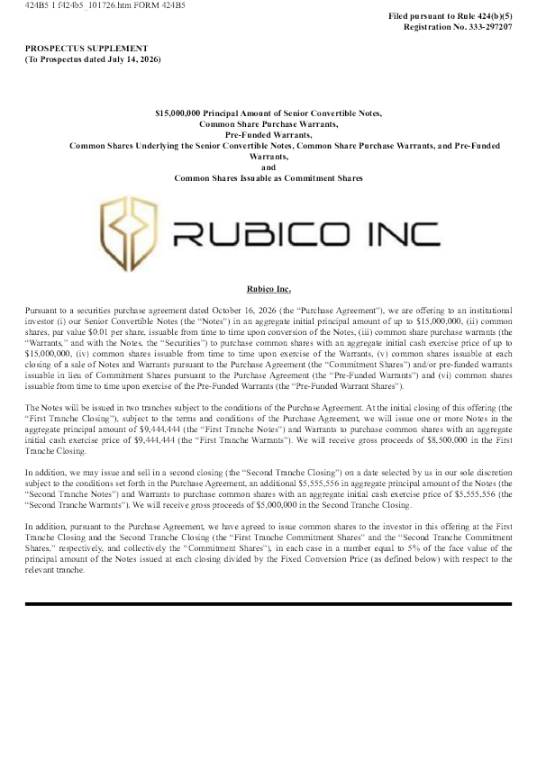 Rubico Inc美股招股说明书(2026-10-19版)