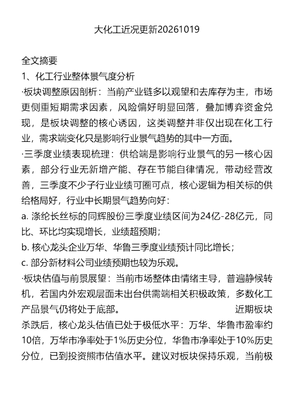 大化工近况更新20261019