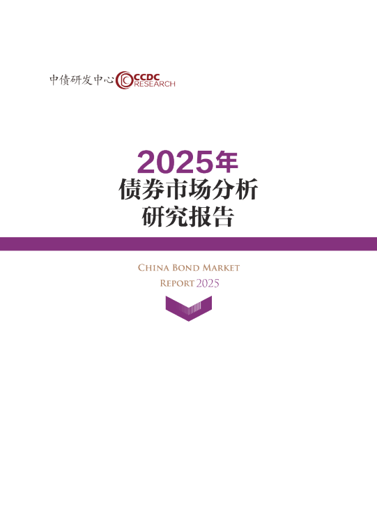 2025年债券市场分析研究报告