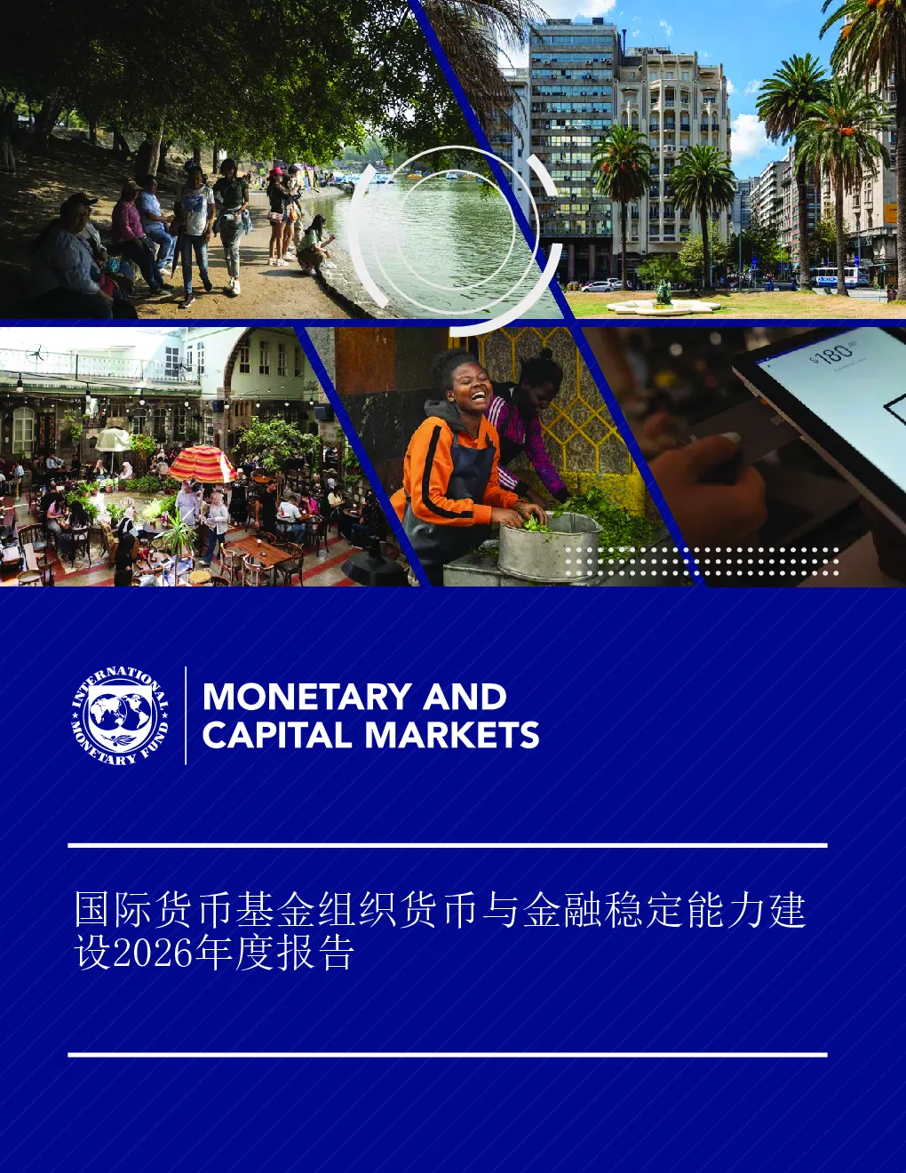 国际货币基金组织货币与金融稳定能力建设2026年度报告