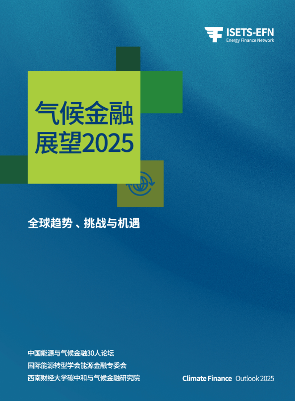 2025气候金融展望报告全球趋势挑战与机遇