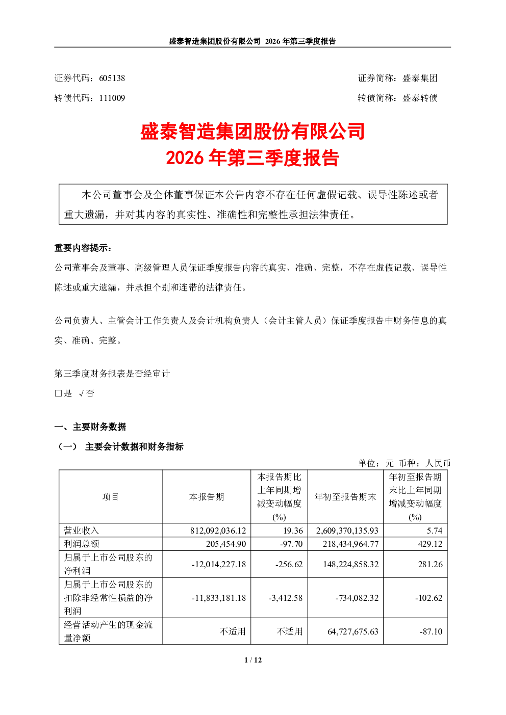 盛泰集团：2026年第三季度报告