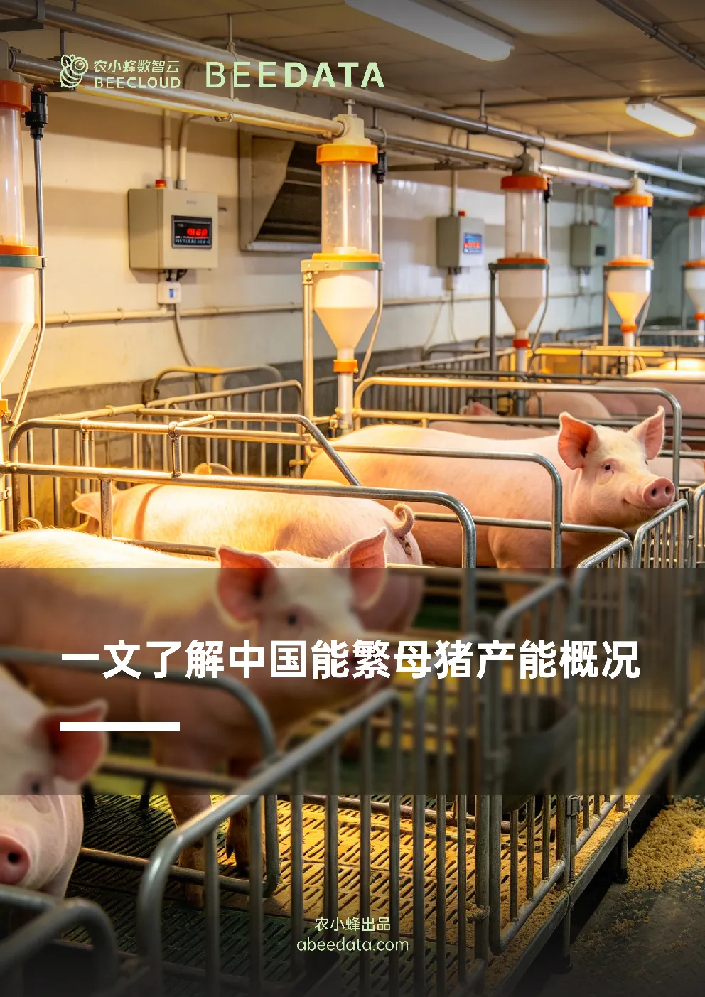 一文了解中国能繁母猪产能概况